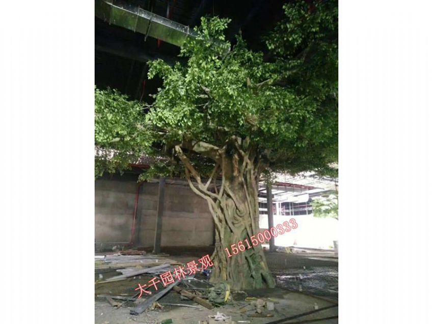 點(diǎn)擊查看詳細(xì)信息<br>標(biāo)題：假樹(shù) 閱讀次數(shù)：1840