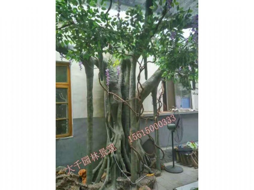 點(diǎn)擊查看詳細(xì)信息<br>標(biāo)題：假樹(shù) 閱讀次數(shù)：1735